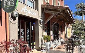 Azalées